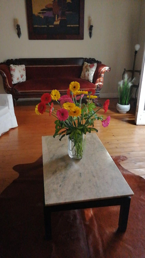 Others 5, Hostal Vina Malva, Cachapoal