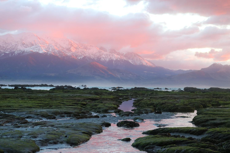 Others 5, The Point B&B, Kaikoura