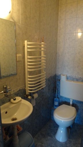 Bathroom 2, Pokoje Goscinne Murowanica, Tatra