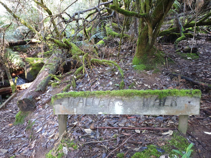 Others 5, Sassafras Springs Cottages, Central Highlands