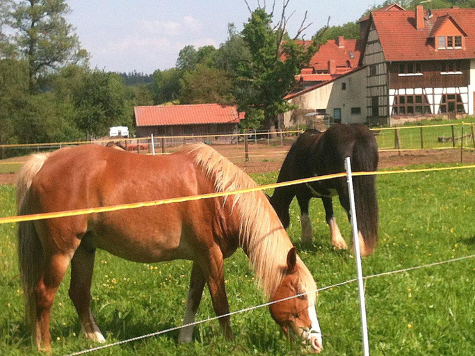 Others 5, Reiterhof Aumuhle, Schwalm-Eder-Kreis