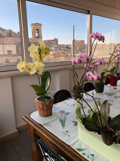 Others 5, B&B Il Piccolo Attico, Catania