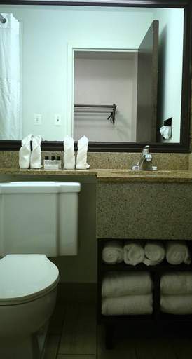 Bathroom 12