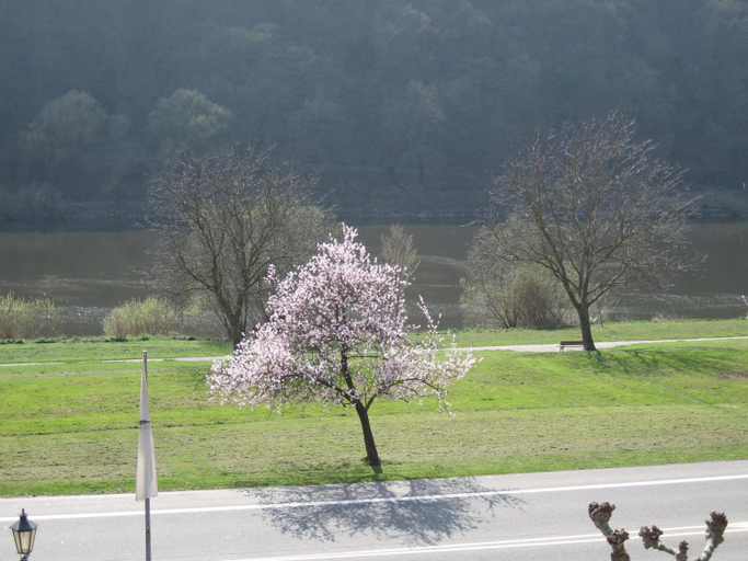 Others 4, Hotel Moselterrasse, Cochem-Zell