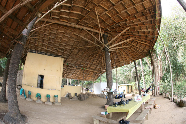 Others 3, Daltons Banana Guesthouse, Western Rural