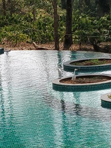 Sport & Beauty 2, The Birchwood Retreat, Coorg, Kodagu
