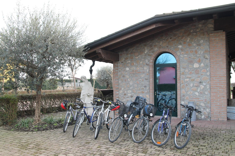 Others 3, Agriturismo Gaspari Farm, Mantua