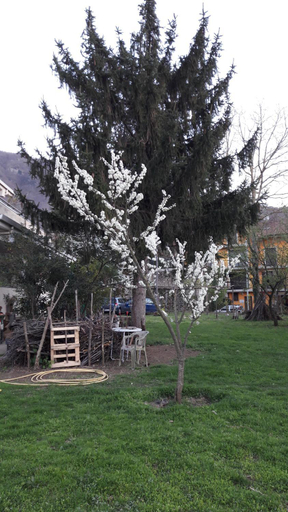 Others 5, B&B Sun Garden, Avellino