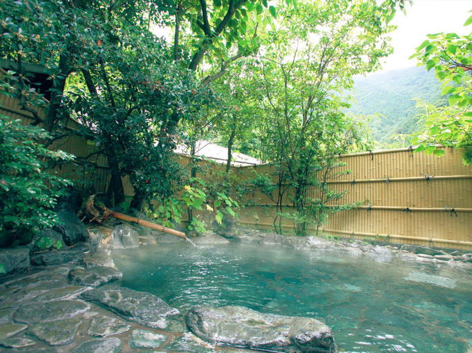 Sport & Beauty 5, Suikoen Ryokan, Kawanehon