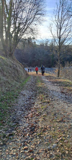 Others 3, Il giuggiolo, Treviso