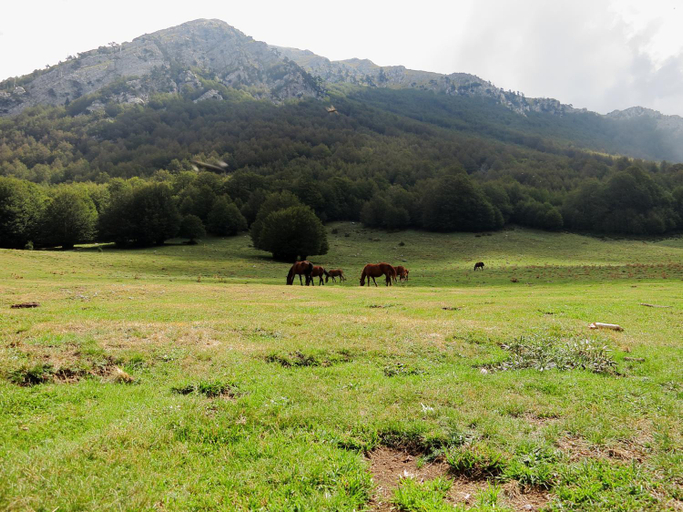 Others 5, B&B Le Ginestre, Potenza