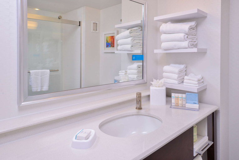 Bathroom 4, Hampton Inn Seattle-Airport, SeaTac