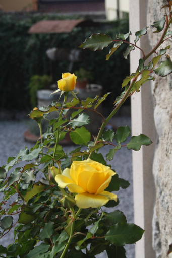 Others 4, B&B Cascina San Martino, Brescia