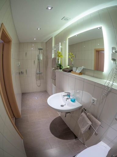Bathroom 4, Hotel - Restaurant - Metzgerei Sonne, Rastatt