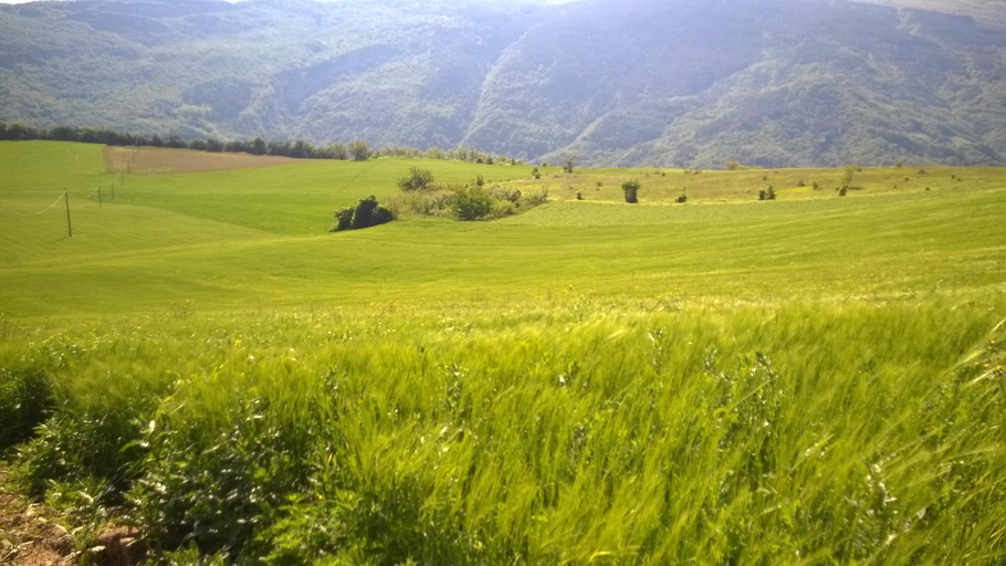 Others 4, B&B Casale Giovannozzi, Ascoli Piceno