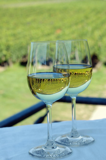 Food & Drinks 5, Bio-Weingut Staffelter Hof, Bernkastel-Wittlich