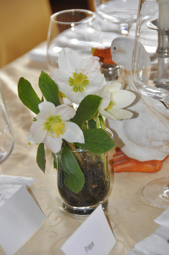Others 5, Fruhstuckspension Seeberghof, Bruck-Mürzzuschlag
