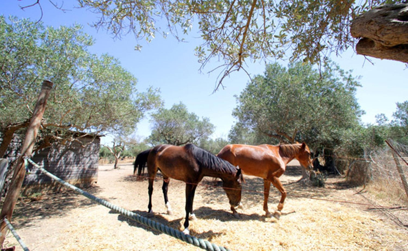 Others 5, Borgo Pida, Trapani