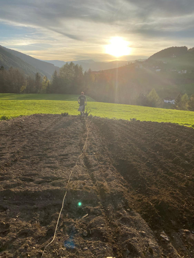 Others 5, Planatschhof, Bolzano