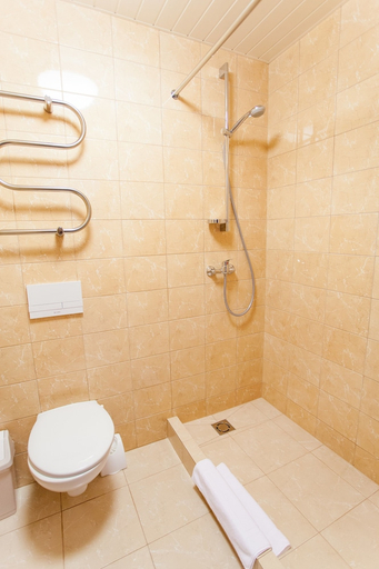 Bathroom 3, AIRINN VILNIUS HOTEL, Vilniaus