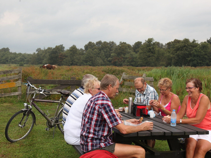 Others 4, Rustic-chic Villa With Thatched Roof, Steenwijkerland
