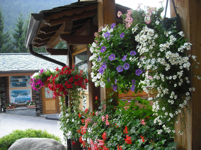 Others 2, CAMPING CIMAPIAZZI, Sondrio