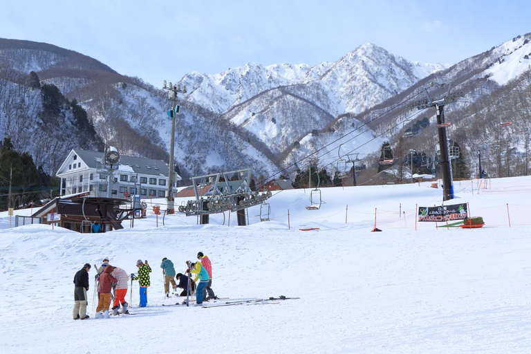 Others 3, Backpackers Hostel Nire-noki, Hakuba