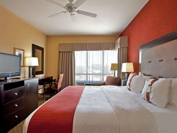 Holiday Inn HOUMA Room Type - 1 King Standard
