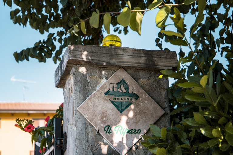 Others 3, Il Riparo, Campobasso