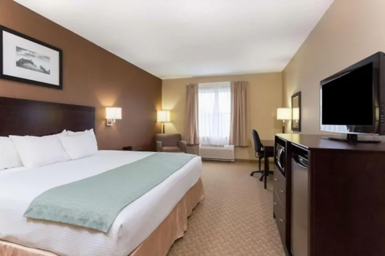 PALM COAST HOTEL & SUITES-I-95 Room Type - 1 King Suite