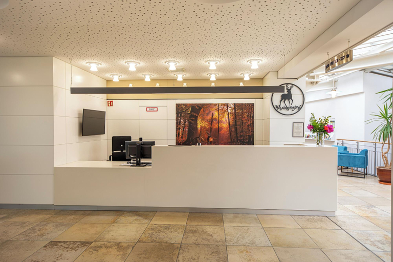 Public Area 2, ACHAT Hotel Karoli Waldkirchen, Freyung-Grafenau