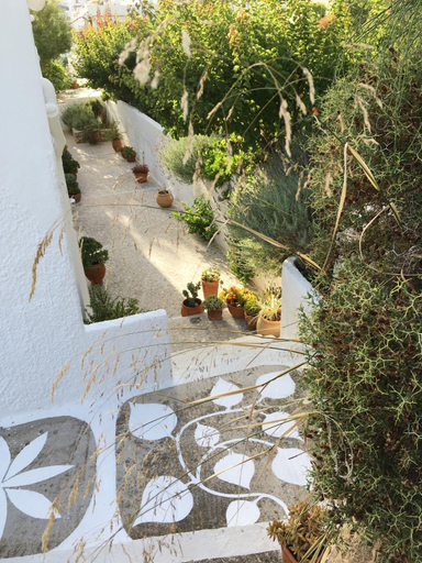 Others 4, Asterias, South Aegean