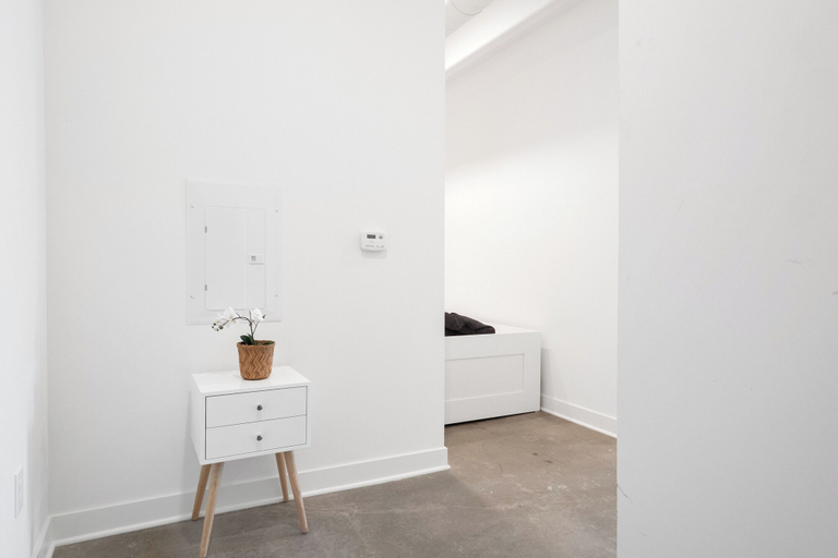 Others 4, Ballpark Luxury Loft Steps from Arch, Saint Louis