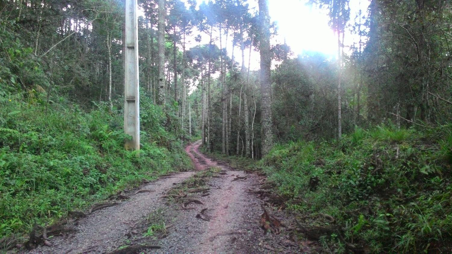 Others 4, MD Luar da Montanha, Camanducaia