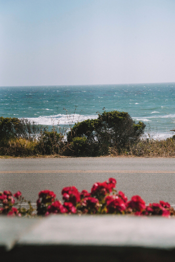 Scenery