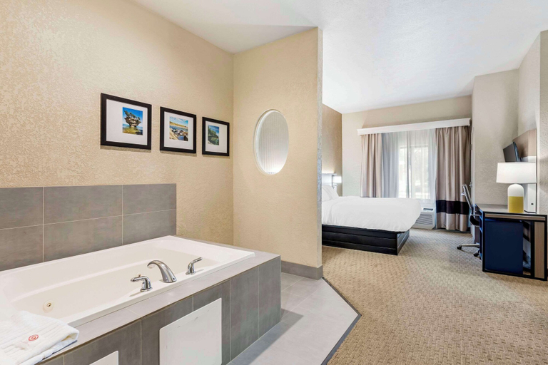 Bathroom 3, Comfort Suites Merrillville near US 30, Lake