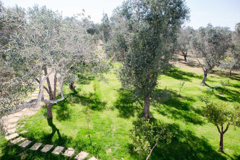 Others 2, B&B Medali, Lecce
