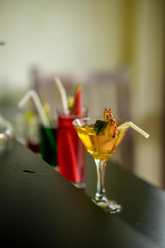 Food & Drinks 5, Elephant Trail Hotel - Udawalawe, Sevanagala