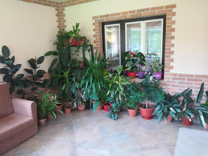 Public Area 2, Pensiunea Colt Alb, Bradesti