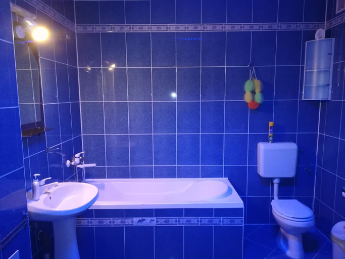 Bathroom 3, Pensiunea Colt Alb, Bradesti