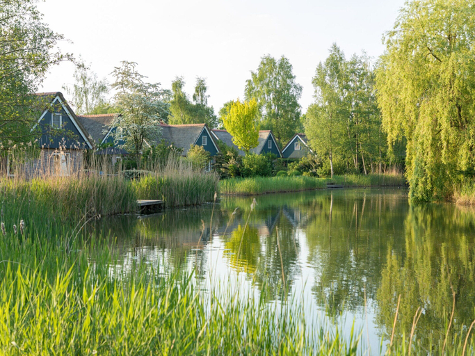 Property grounds 3, Large Luxury Villa in a National Park, Steenwijkerland