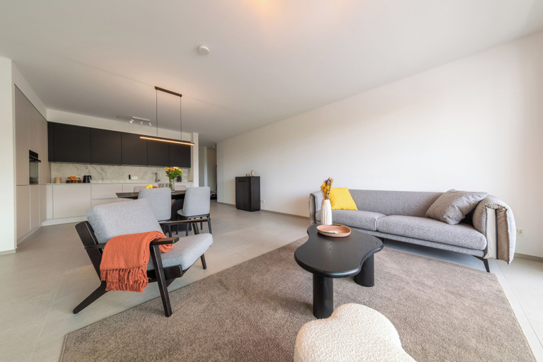 Others 4, Halternative Residence Renaissance, Luxembourg
