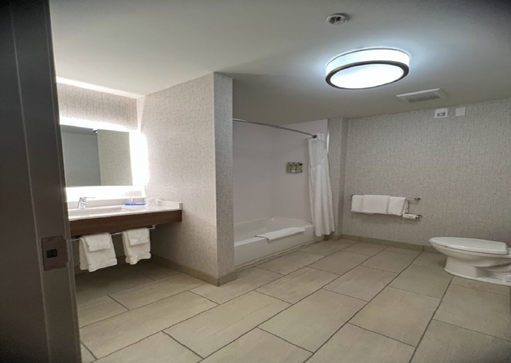 Bathroom 4, Holiday Inn Express & Suites LIBERAL by IHG, Seward