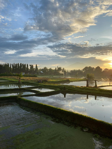 Scenery 2
