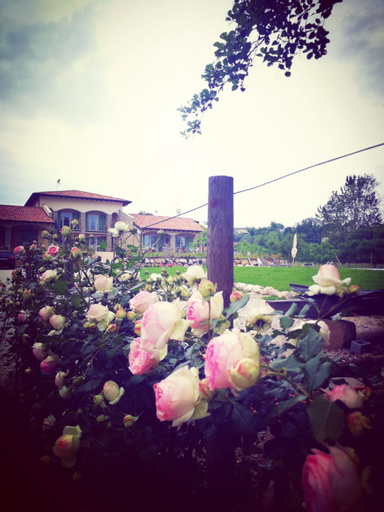 Exterior & Views 4, Orchidea del Garda Rooms & Apartments, Verona