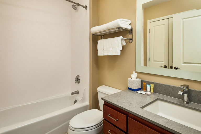 Bathroom 4, TownePlace Suites Colorado Springs South, El Paso