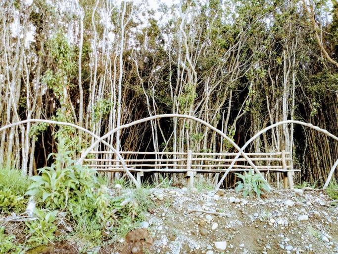 Others 5, Terrazas de Nercon, Chiloé