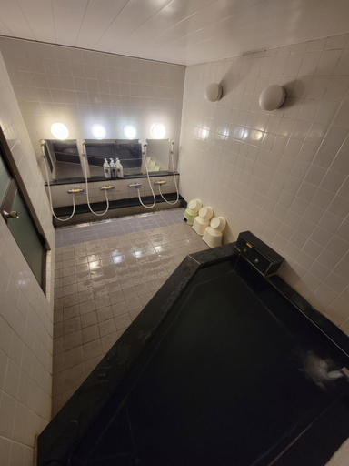 Bathroom, Hotel Seagull, Izumisano
