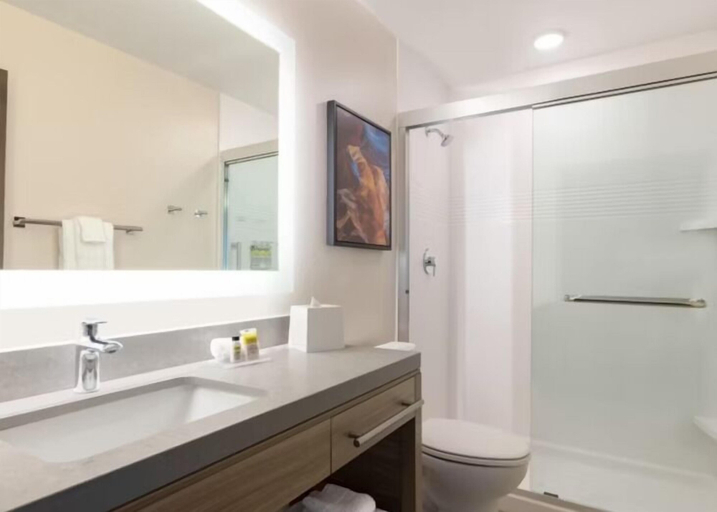 Bathroom 2, Candlewood Suites PITTSTON, Luzerne