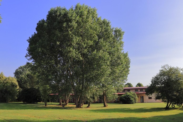 Others 3, Agriturismo Oasi Bettella, Padua